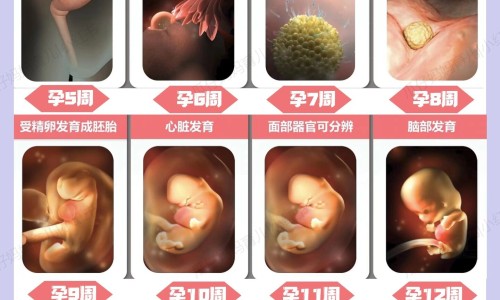 恶露不尽能做提肛运动吗-恶露期间能做提肛运动吗网 | 恶露不尽能做提肛运动吗,恶露期间能做提肛运动吗女