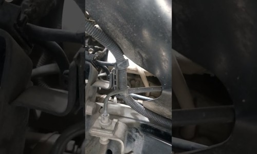 恶露期间能做提肛运动吗网 | 恶露不尽能做提肛运动吗,恶露期间能做提肛运动吗女